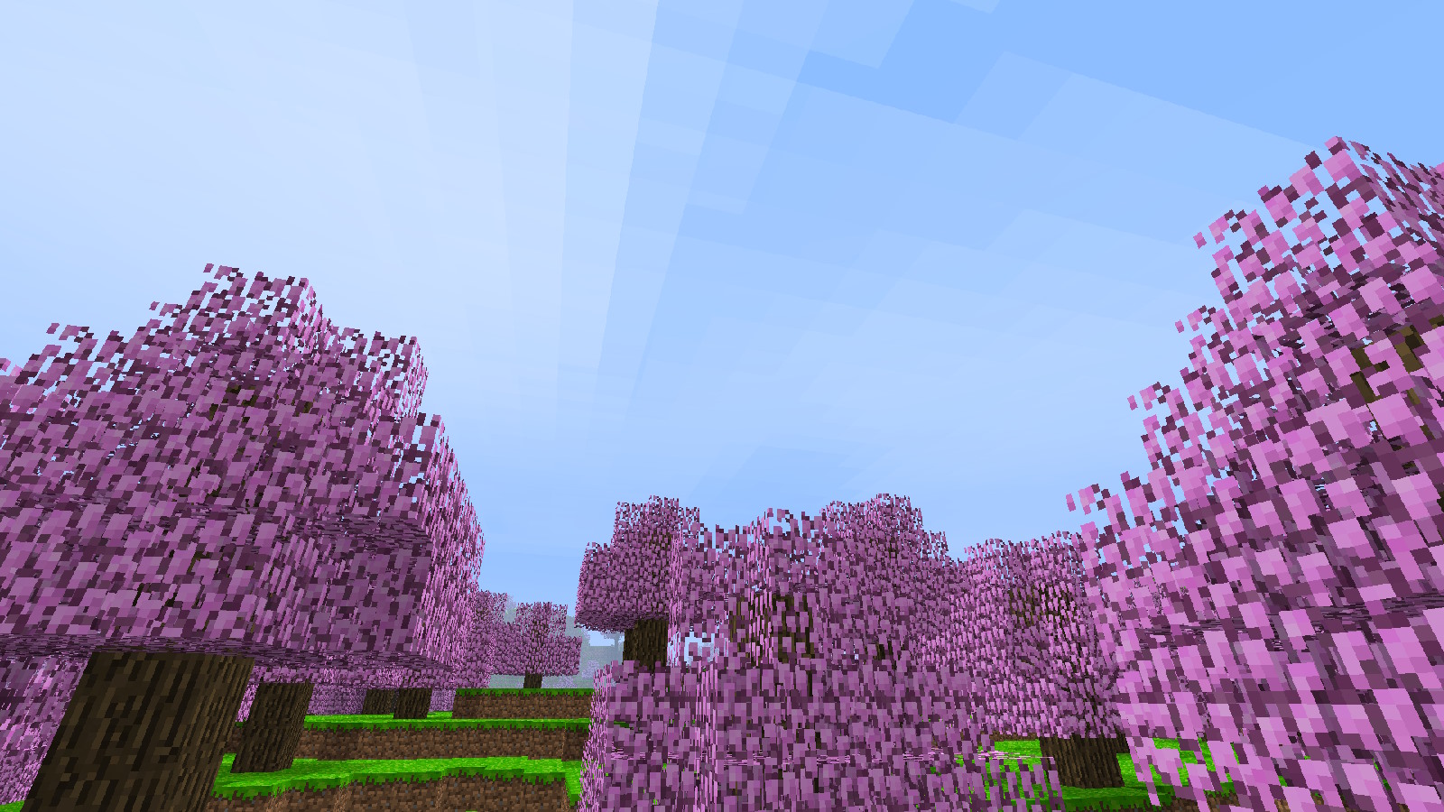 Alpha Advanced | Gallery